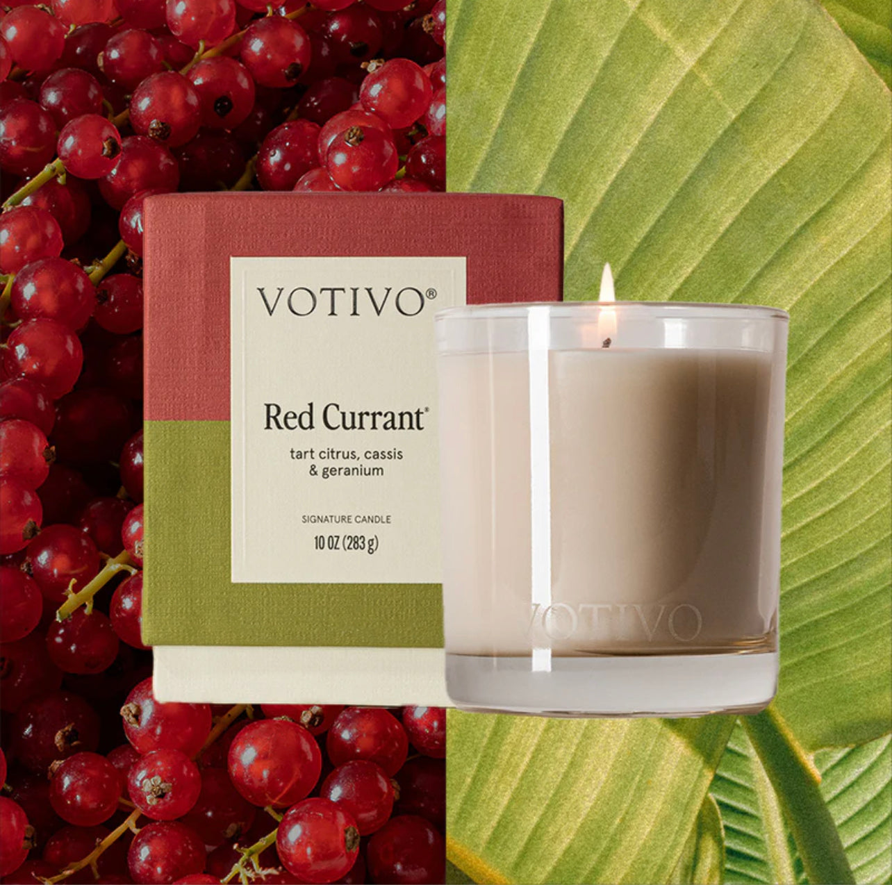Red Currant 10 oz. Signature Candle