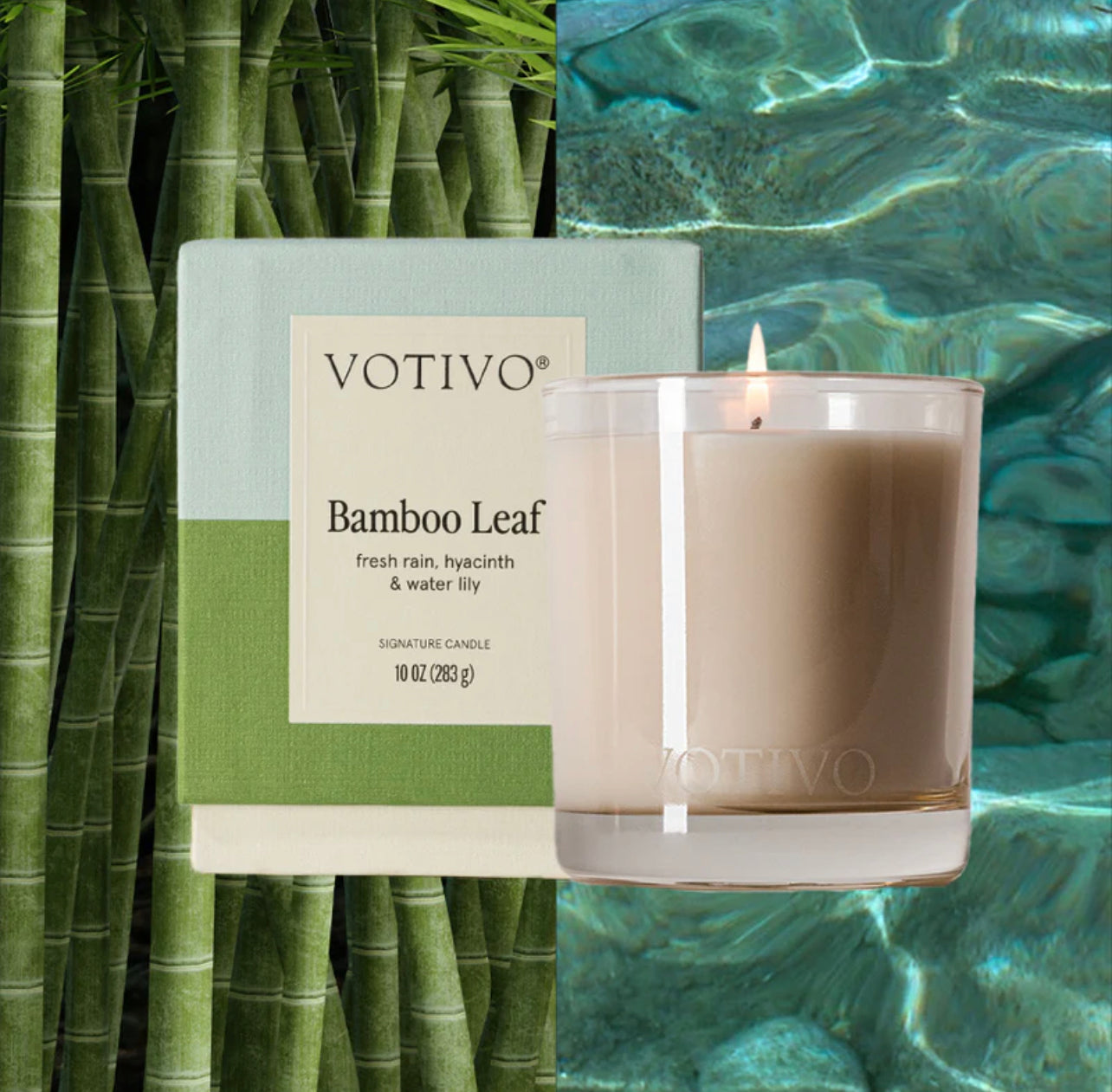 Bamboo Leaf 10 oz. Signature Candle